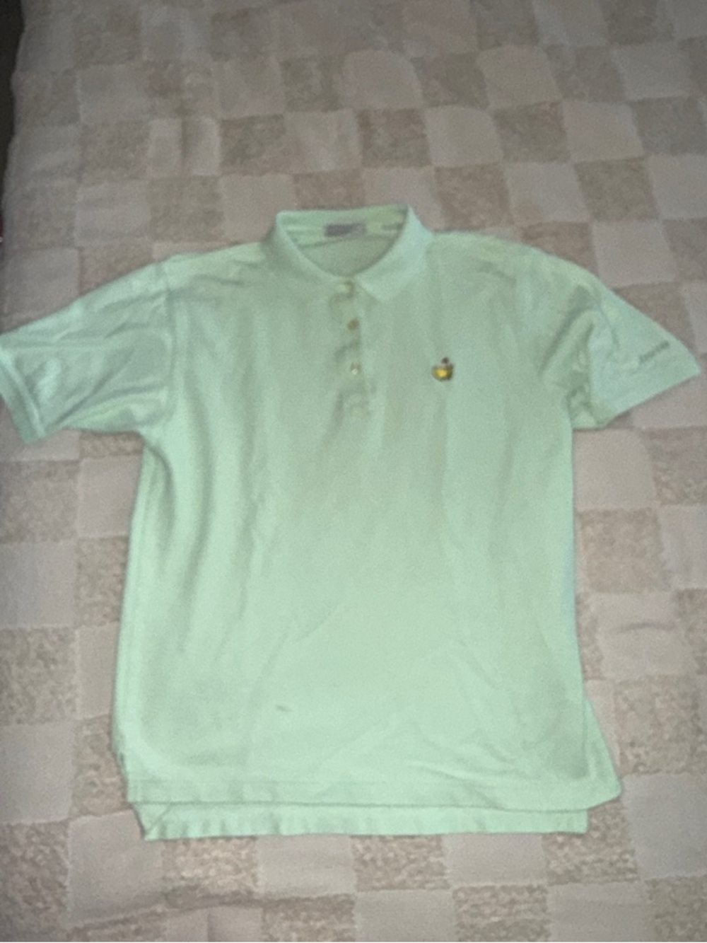 Masters Light Green Polo Shirt with Embroidered Logo